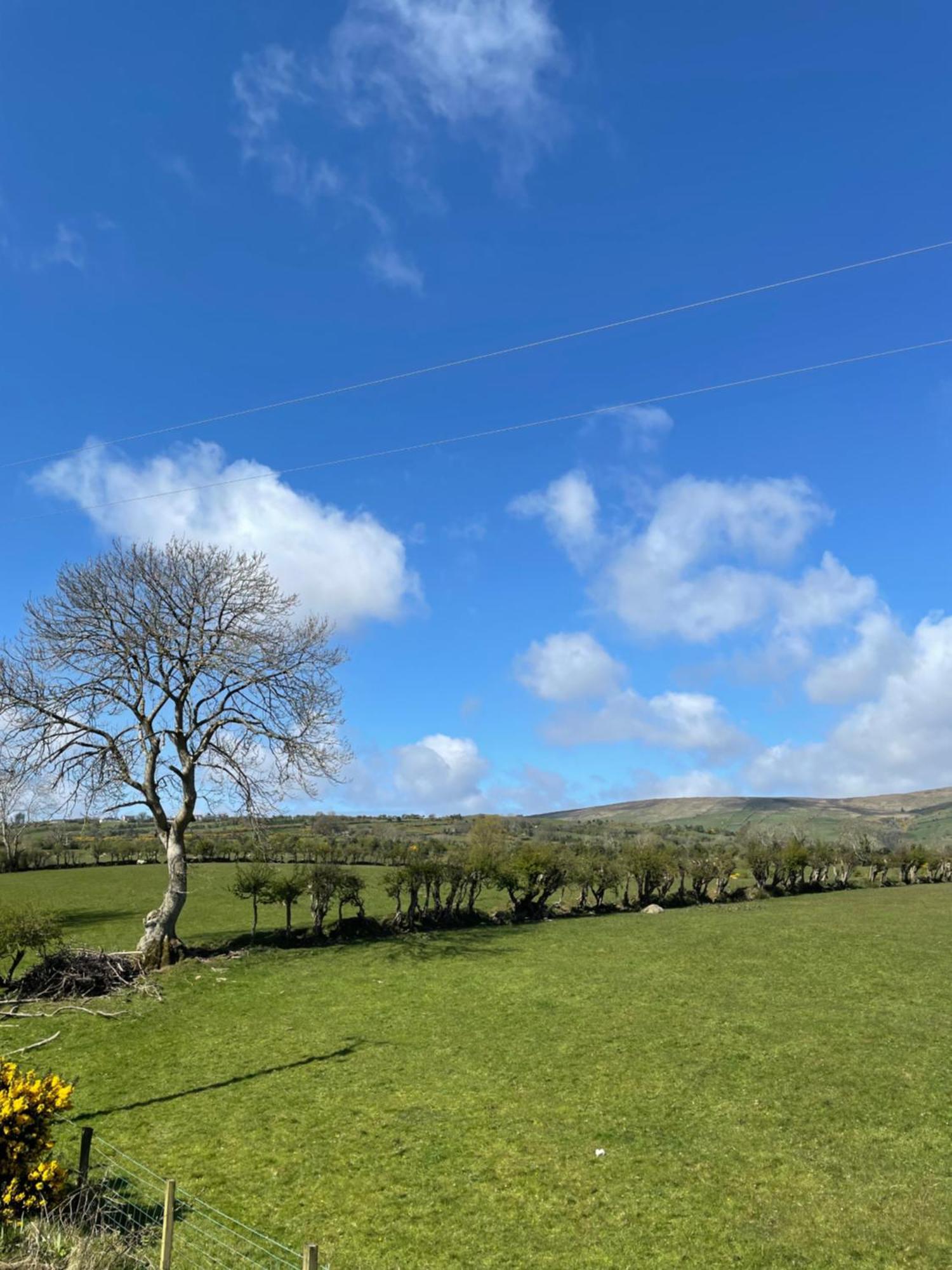 Mobile Holiday Home Cushendall Extérieur photo